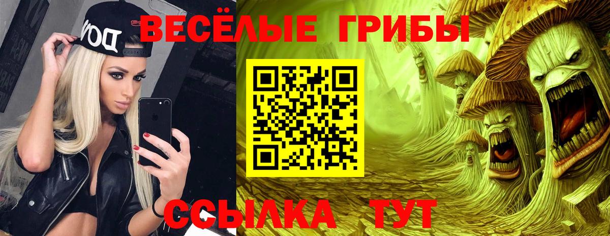 Псилоцибиновые грибы Cubensis  хочу   Заринск  Псилоцибиновые грибы прущие грибы  Вход с VPN 