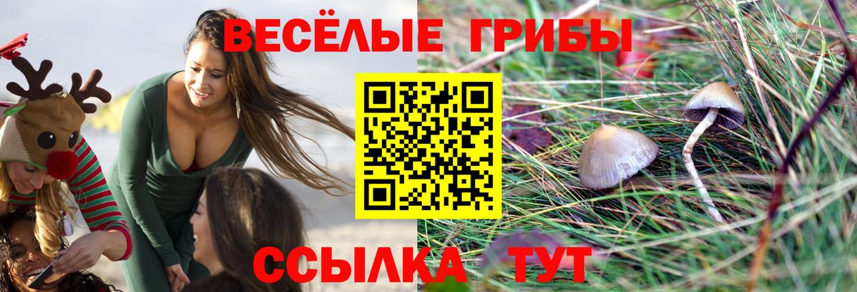Псилоцибиновые грибы Magic Shrooms Заринск